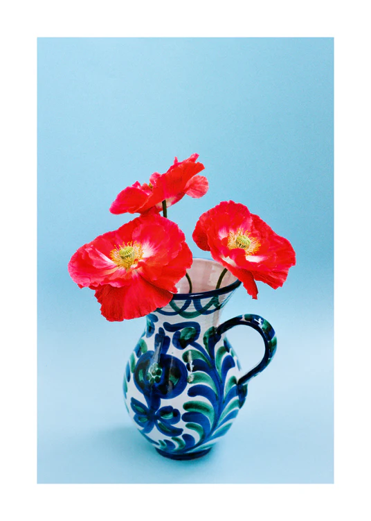 50 x 70 cm / White border
