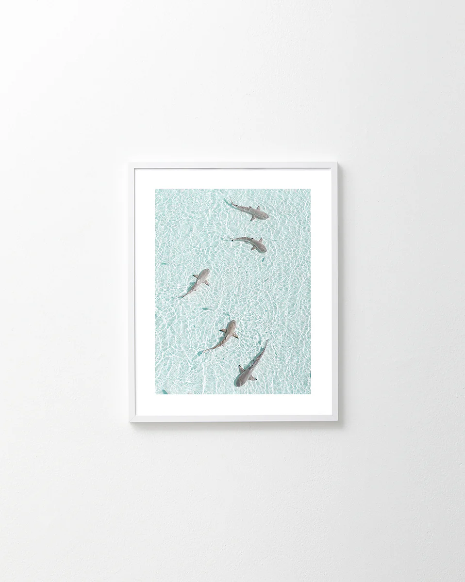 The On Patrol Poster features five small sharks gliding through clear, turquoise waters against a plain white wall backdrop, evoking the subtle essence of background music echoing the Jaws theme.