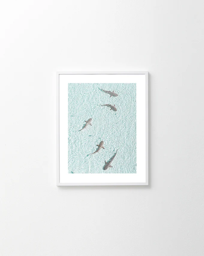 The On Patrol Poster features five small sharks gliding through clear, turquoise waters against a plain white wall backdrop, evoking the subtle essence of background music echoing the Jaws theme.