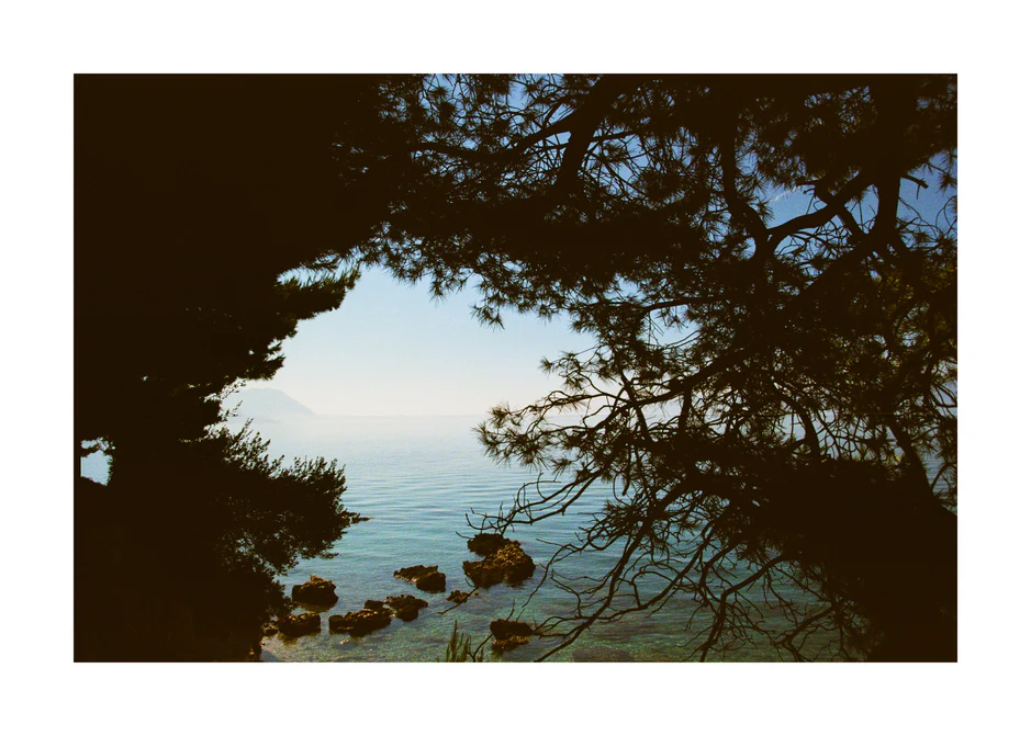 View of the Mediterranean Sea framed by outlines of trees.