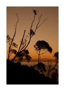 Sunset or sunrise beyond a cliff with black trees silhouetted against the sky.
