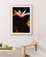 The If Monet Had a Camera I Poster hangs on a cream wall, showcasing soft pink petals. Below, a wooden chair with white cushions sits beside a table with a book and pear, capturing the timeless elegance of French girls style.