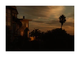 Sunrise glow illuminating a house and turning palm trees into black silhouettes.