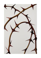 Artful photograph of brown thorns twisting on a white surface.