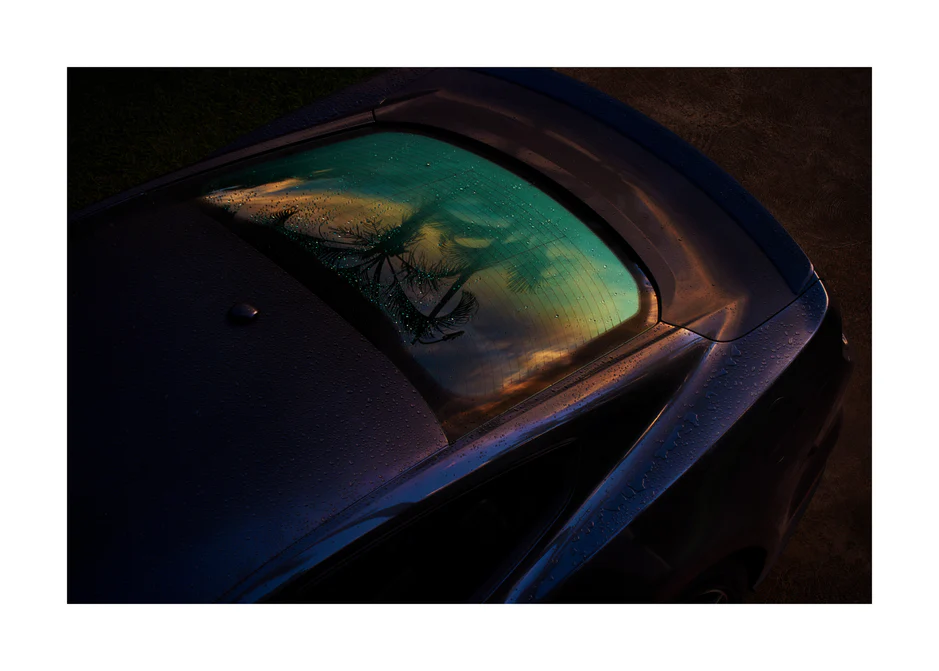 Sunset sky and outlines of palm trees reflected in a rain-stained car window.