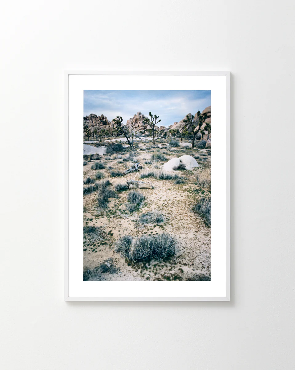 White Desert Poster