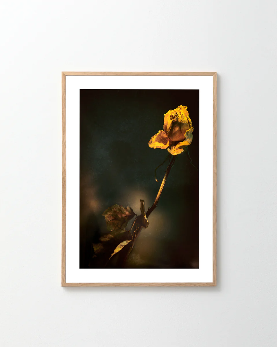 Yellow Is Platonic Poster